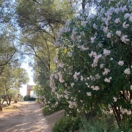 Campsite Mobil Avec Terrasse, 2 Chambres, 4 Pers. - Api-1-52-840 *