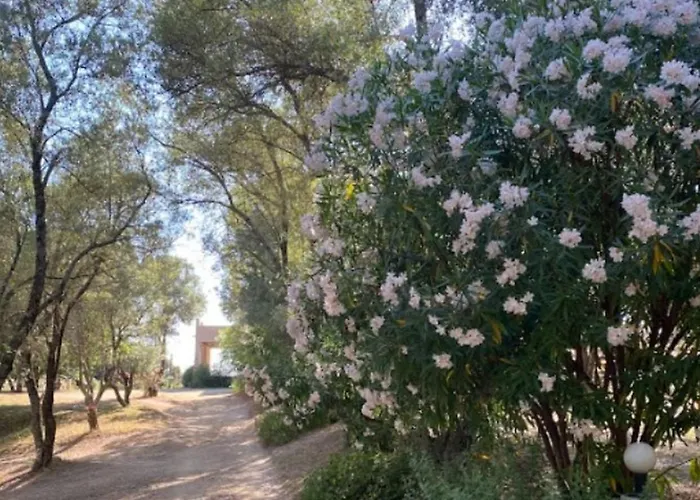 Campsite Mobil Avec Terrasse, 2 Chambres, 4 Pers. - Api-1-52-840 *